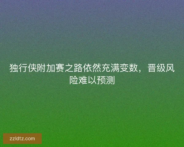 独行侠附加赛之路依然充满变数，晋级风险难以预测
