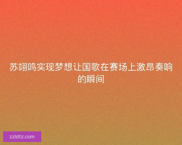 苏翊鸣实现梦想让国歌在赛场上激昂奏响的瞬间